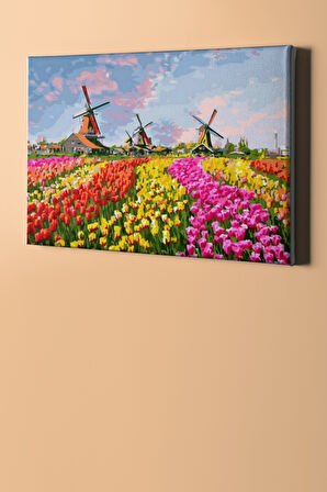 Sayılarla Boyama Seti Kasnaklı Lale Tarlası 40 X 50 Cm