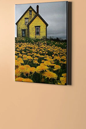 Sayılarla Boyama Seti Kasnaklı Karahindiba Bahçesi 40 X 50 Cm