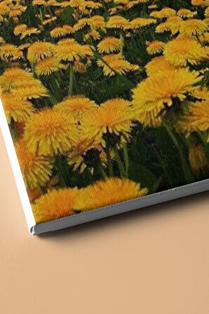 Sayılarla Boyama Seti Kasnaklı Karahindiba Bahçesi 40 X 50 Cm