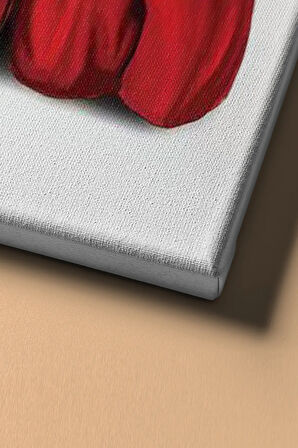 Sayılarla Boyama Seti Kasnaklı Kankalar 60 X 75 Cm