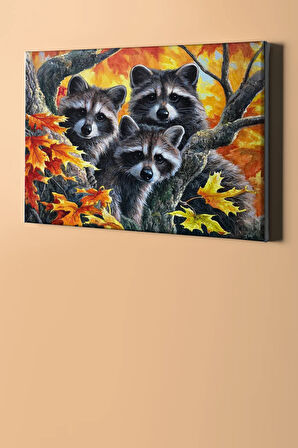 Sayılarla Boyama Seti Kasnaklı Rakunlar 40 X 50 Cm