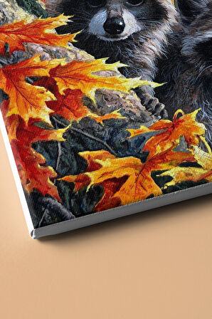 Sayılarla Boyama Seti Kasnaklı Rakunlar 60 X 75 Cm