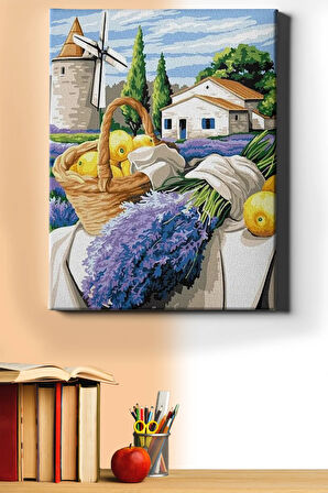 Sayılarla Boyama Seti Kasnaklı Lavanta Bahçesi Ve Değirmen 60 X 75 Cm