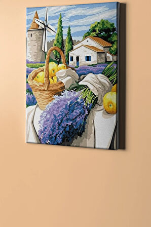 Sayılarla Boyama Seti Kasnaklı Lavanta Bahçesi Ve Değirmen 60 X 75 Cm