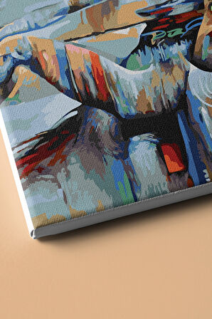 Sayılarla Boyama Seti Kasnaklı Ikilem 60 X 75 Cm