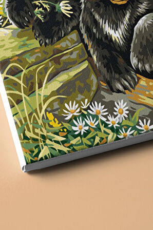 Sayılarla Boyama Seti Çerçevesiz Meraklı Ayı Yavruları 60 X 75 Cm