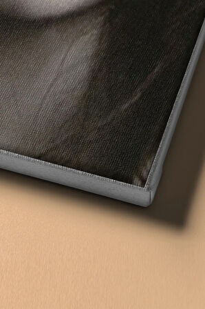 Sayılarla Boyama Seti Kasnaklı Türkan Şoray Gülümseme 60 X 75 Cm