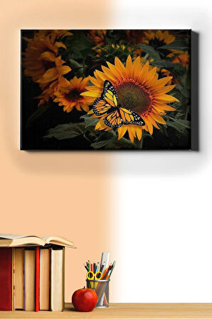 Sayılarla Boyama Seti Kasnaklı Kelebeğin Keyfi 60 X 75 Cm