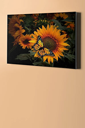 Sayılarla Boyama Seti Kasnaklı Kelebeğin Keyfi 60 X 75 Cm
