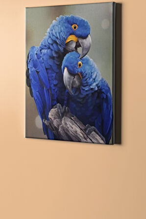 Sayılarla Boyama Seti Kasnaklı Orman Mavisi Papağanlar 60 X 75 Cm