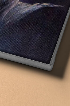 Sayılarla Boyama Seti Kasnaklı Deniz Kızının Hüznü 50 X 65 Cm