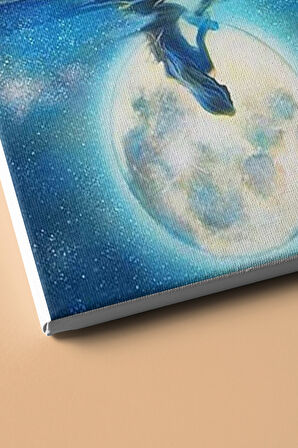 Sayılarla Boyama Seti Kasnaklı Dolunayda Denizkızı 50 X 65 Cm