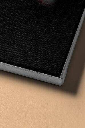 Sayılarla Boyama Seti Kasnaklı Kamikaze 60 X 75 Cm