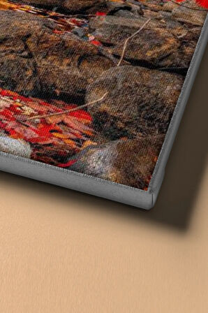 Sayılarla Boyama Seti Kasnaklı Sonbahar Ve Yapraklar 40 X 50 Cm