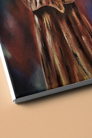 Sayılarla Boyama Seti Kasnaklı Renkli Semazen 60 X 75 Cm