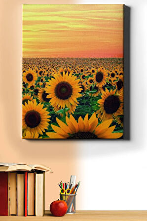 Sayılarla Boyama Seti Kasnaklı Günebakan Tarlası 50 X 65 Cm