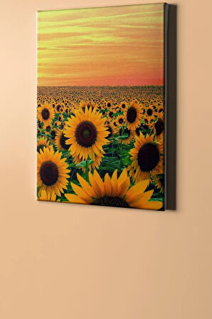 Sayılarla Boyama Seti Kasnaklı Günebakan Tarlası 50 X 65 Cm