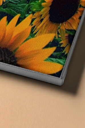 Sayılarla Boyama Seti Kasnaklı Günebakan Tarlası 50 X 65 Cm