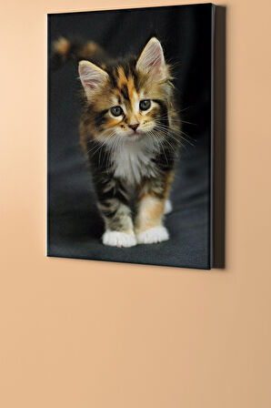 Sayılarla Boyama Seti Kasnaklı Yavru Kedicik 60 X 75 Cm