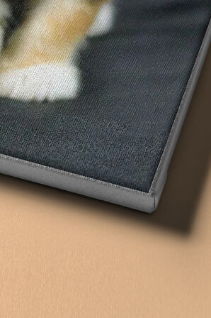 Sayılarla Boyama Seti Kasnaklı Yavru Kedicik 60 X 75 Cm