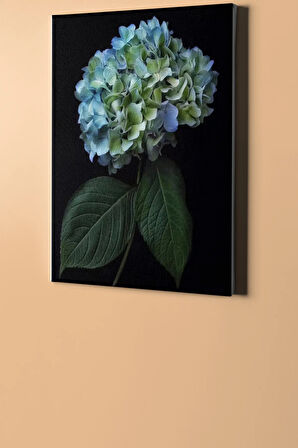 Sayılarla Boyama Seti Kasnaklı Dağ Ortancası 60 X 75 Cm