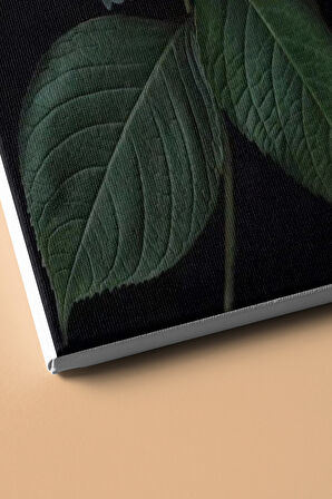 Sayılarla Boyama Seti Kasnaklı Dağ Ortancası 60 X 75 Cm