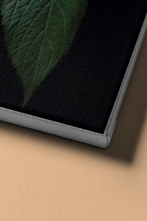 Sayılarla Boyama Seti Kasnaklı Dağ Ortancası 60 X 75 Cm