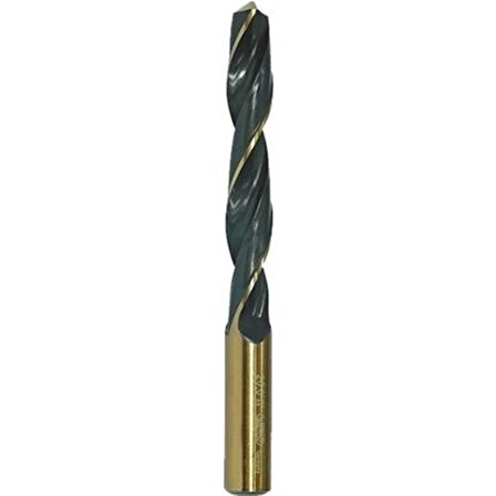 19mm HSS/DIN338 Matkap Ucu