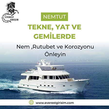 Nem Alıcı Önleyici Rutubet Küf Giderici Emici Korozyon Önleyici Koku Giderici 1 Kg 1 Kutu 2 Paket