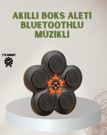 Bluetoothlu Akıllı Boks Antrenman Cihazı Işıklı Hedefli Kardiyo ve Fitness Ale