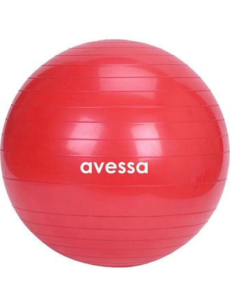 Özel Üretim Form Aktif Hareket XPT-85-RED Plates Topu Kırmızı 85 cm 1500 gr