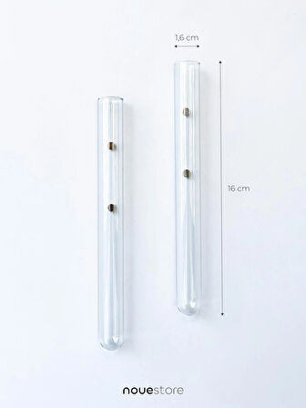 Mıknatıslı Dekoratif Cam Vazo Bitki Köklendirme İçin Minimal Buzdolabı Mini Vazo Saksı 2'li 16 Cm