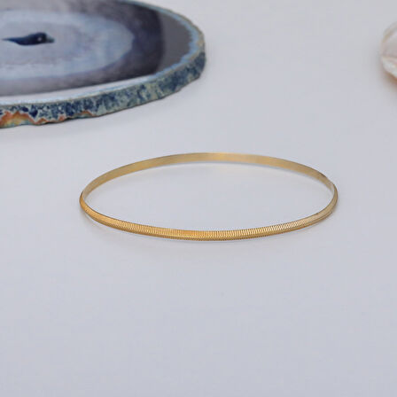 14 Ayar Mikron Altın Kaplama İnce Ray Desenli Ajda Gümüş Bilezik - BV00112