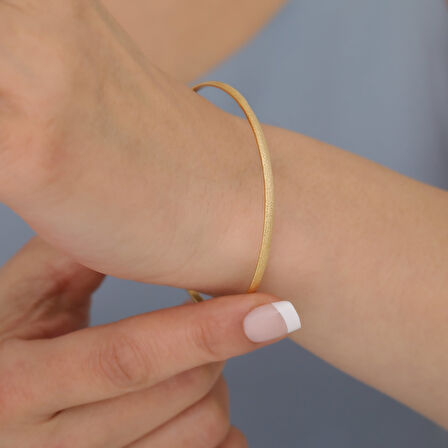 14 Ayar Mikron Kaplama Sim Desenli Ajda Gümüş Bilezik- BV00114