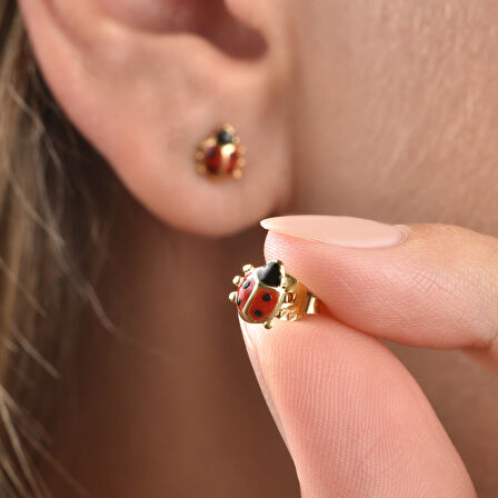 14 Ayar Altın Kaplama Minik Uğur Böceği Çivili Gümüş Küpe - EE00100