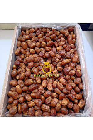 Toptan Bağdat Hurma (Zahidi) 10 Kg