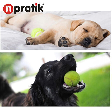 N'Pratik Tenis Topu Köpek Oyuncağı 3'lü