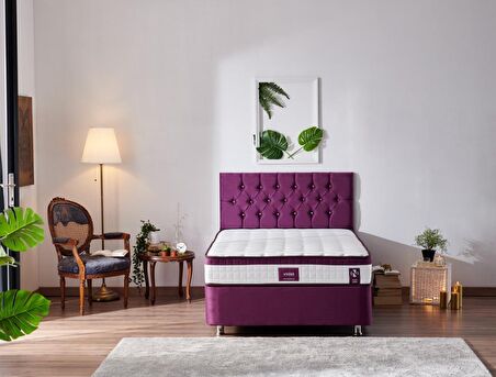 Niron Yatak Violet Ortopedik Pedli Çift Kişilik Yaylı Yatak 120 x 200 cm