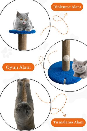 Stepli Kedi Tırmalama Tahtası Mavi