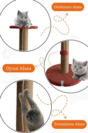 Stepli Kedi Tırmalama Tahtası Mercan