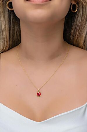 925 Ayar Gümüş Gold Kırmızı Mineli Uğur Böceği Kolye