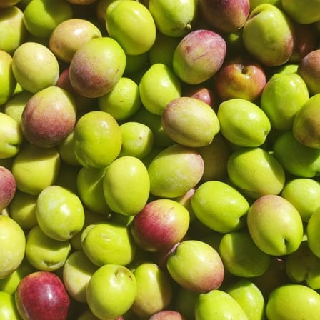 Neshil Ayvalık Cinsi Kırmalık Ham Yeşil Zeytin 10 Kg