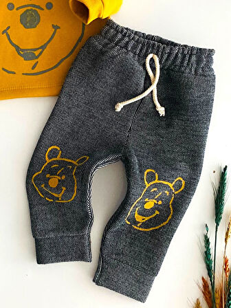 Neşeli Bebekler Winnie The Pooh Nakışlı Şardonlu Üç İp Polar Takım Hardal