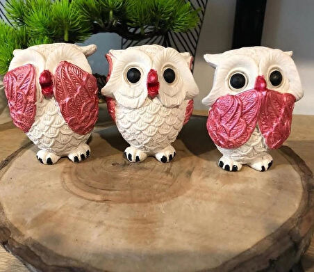 Dekoratif Görmedim Duymadım Bilmiyorum 3’lü Baykuş Biblo