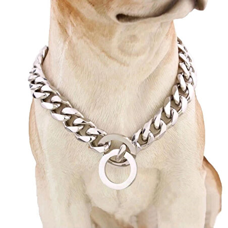 Köpek tasması | Köpek boyun tasması | Zincir Tasma 66 CM PASLANMAZ ÇELİK