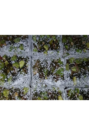 Boz Yeşil Duble Bol Antep Fıstıklı Saray Lokumu - 1 KG
