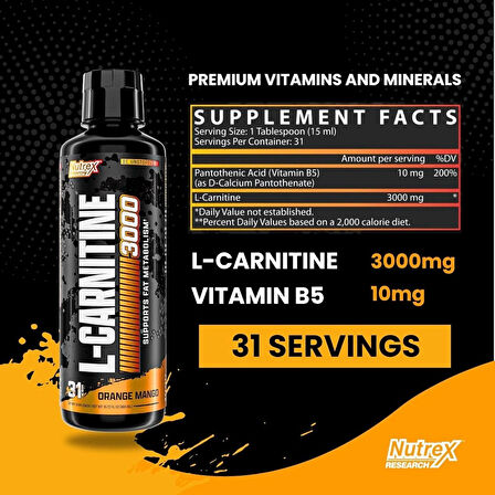 Nutrex Research Liquid Carnitine Karnitin Termojenik Fat Burner 3000