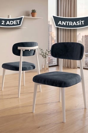 Nuvo Serisi 2 Adet Antrasit Mutfak Sandalyesi Beyaz Metal İskeletli 1. Sınıf Babyface Kumaş