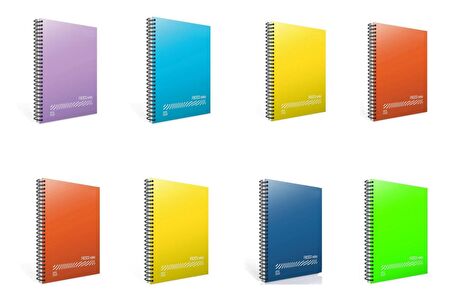 Gıpta Fresco A4 80 Yaprak Plastik Kapak Spiralli Defter 4 Kareli + 4 Çizgili