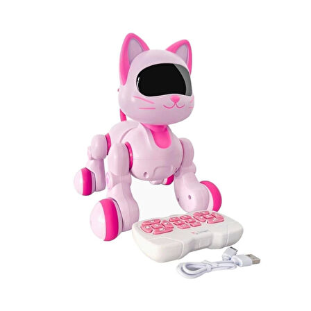 Nessiworld GAW-6602 Uzaktan Kumandalı İnteraktif Şarjlı Akıllı Kedi